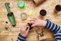 High angle of crop anonymous kid planting seedling in cardboard cup with ground at table with gardening shovel — Stock Photo