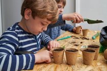 Hermanos plantando plántulas en copa de cartón con tierra a la mesa con pala de jardinería - foto de stock