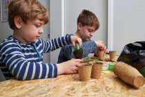 Irmãos plantando mudas em copo de papelão com chão à mesa com pá de jardinagem — Fotografia de Stock