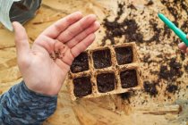 Dall'alto di raccolto anonimo bambino dimostrando semi su contenitore biodegradabile con terreno sul tavolo — Foto stock