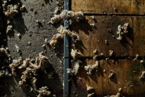 Vista dall'alto di mucchio di lana di pecora tosata sparsi sul pavimento in legno in fienile in campagna — Foto stock