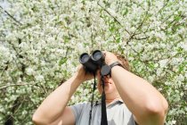 Dal basso del viaggiatore maschio che osserva gli uccelli attraverso il binocolo in boschi verdi in estate — Foto stock