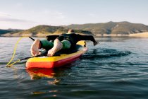 Back view of unrecognizable barefoot male in wetsuit lying on paddle board and swimming on lake surface while practicing water sport in summer day — Stock Photo