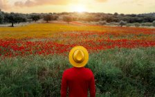 Vista posterior irreconocible elegante hombre en ropa roja y sombrero amarillo de pie en el campo de florecimiento exuberante en la naturaleza pacífica - foto de stock