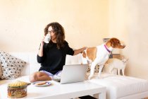 Young Hispanic female stroking dog and browsing internet on laptop while spending free time together in living room drinking coffee — Stock Photo