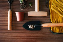 Posa piatta di piccoli attrezzi da giardinaggio per la casa con guanti e vaso da fiori con piante sul tavolo di legno — Foto stock