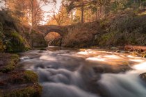 Pintoresco puente de piedra paisajística sobre río en otoño parque en Sierra de Guadarrama en España durante el día - foto de stock