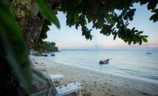Lush tropical trees growing on sandy beach near wooden deckchairs near boat on azure water of sea in Malaysia — Stock Photo