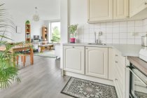 Innenraum der geräumigen Küche mit stilvollen hellen Möbeln und grünen Pflanzen in Töpfen in einer modernen Wohnung — Stockfoto