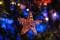 Festive star hanging on branch of coniferous tree decorated with garland for Christmas celebration — Stock Photo