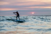 Hombre surfista en traje de neopreno y sombrero en tabla de paddle surfeando en la orilla del mar durante el atardecer - foto de stock