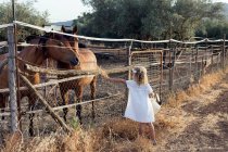 Piccola ragazza bionda che nutre un cavallo in una stalla — Foto stock