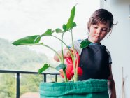 Ragazzina concentrata in grembiule nero in piedi e irrigazione pianta verde in vaso sul balcone contro collina verde di giorno — Foto stock