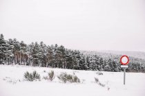 Panneau de signalisation vide sur le poteau parmi les arbres et les plantes sans feuilles recouverts de neige dans la forêt d'hiver — Photo de stock