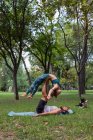 Вид збоку на гнучку пару в спортивному одязі, що практикує акройогу разом на килимку для йоги на траві проти дерев у парку вдень — стокове фото