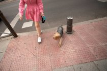 Cropped unrecognizable owner with adorable Yorkshire Terrier with tongue out on leash standing on street during walk — Stock Photo