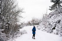 Rückansicht einer unkenntlichen Reisenden in warmer Oberbekleidung, die am Wintertag auf einem Pfad in verschneiten Wäldern spaziert — Stockfoto