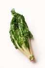 Ein Bund grüner Mangold im Hintergrund. Veganes Bio-Ernährungskonzept — Stockfoto