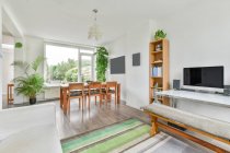 Interior elegante da espaçosa sala de estar com zona de jantar decorada com plantas envasadas verdes no apartamento moderno à luz do dia — Fotografia de Stock