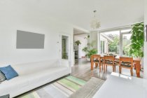 Стильний інтер'єр просторої вітальні з обідньою зоною, прикрашеною зеленими горщиками в сучасній квартирі в денному світлі — стокове фото