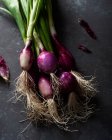 From above of fresh ripe purple onions with green stems placed on black table — Stock Photo
