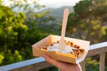 Cropped unrecognizable person eating tasty Belgian waffles with whipped cream in takeaway box against mounts in back lit — Stock Photo