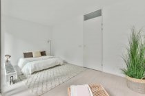 Interno minimalista di spaziosa camera da letto luminosa con comodo letto con cuscini colorati in appartamento moderno durante il giorno — Foto stock