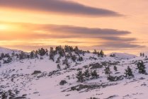 Breathtaking scenery of slope of hill covered with snow and trees against high rocky mountains under bright sky at sunrise — Stock Photo