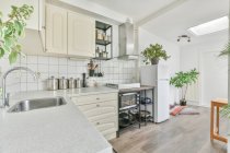 Interno della spaziosa cucina con mobili alla moda leggeri e piante verdi in vaso in appartamento moderno — Foto stock