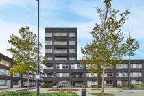 Casa contemporanea esterna e passerella con alberi sotto il cielo nuvoloso in Provincia di Utrecht Olanda — Foto stock