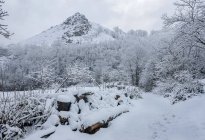 Paisagem paisagística de encostas de montanha e vale coberto por neve branca sob céu nublado no Parque Natural Redes localizado em Ruta del Alba Astúrias Espanha — Fotografia de Stock