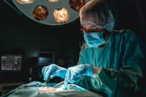 Ветеринар в стерильных перчатках с хирургическим пинцетом и ножницами, оперирующий анонимного животного на мониторе сердечного ритма в больнице — стоковое фото