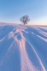 Paisaje de colina cubierto de nieve y arbustos desnudos que crecen en la naturaleza de invierno bajo cielo azul sin nubes - foto de stock