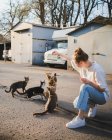 Full body of positive kind female sitting on haunches and feeding hungry fluffy cats on street — Stock Photo