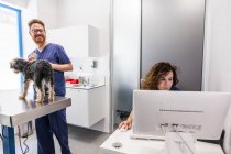 Homme souriant avec smartphone caressant duveteux Yorkshire Terrier et parlant à une assistante travaillant sur ordinateur dans une clinique vétérinaire — Photo de stock