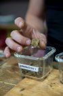 Cultivez un mâle anonyme démontrant des bourgeons de cannabis séché au-dessus de récipients en verre sur une planche à découper dans la pièce — Photo de stock