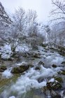 Живописный вид узкой мелководной реки, протекающей через каменистую лесную долину с лиственными деревьями в окружении снежных гор вдоль трассы Рута-дель-Альба в природном парке Редес в Астурии, Испания — стоковое фото