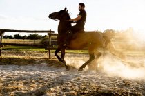 Side view of adult male riding stallion on sandy land with dust under shiny sky in back lit — Stock Photo