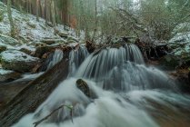 Corrente fluvial rápida que atravessa pedregulhos acidentados entre árvores nevadas no Parque Nacional da Serra de Guadarrama, em Madrid — Fotografia de Stock