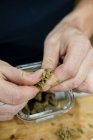 Высокий угол урожая неузнаваемо мужского прессования сушеной марихуаны кусок растения над контейнером на столе — стоковое фото
