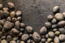 Vista dall'alto primo piano di una pila di patate a terra — Foto stock