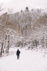 Back view of unrecognizable male in outerwear walking on snowy path among bare trees growing on hills — Stock Photo
