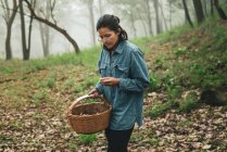 Grave femmina in occhiali che trasporta cesto di vimini e raccoglie funghi commestibili nei boschi con tempo nebbioso — Foto stock
