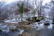 Pintoresca vista del estrecho río poco profundo que fluye a través del pedregoso valle arbolado con árboles sin hojas rodeados de montañas nevadas a lo largo de la ruta del Alba en el Parque Natural de Redes en Asturias España - foto de stock