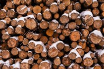 Montón de troncos de madera bajo la nieve en el valle montañoso del invierno bajo el cielo nublado - foto de stock