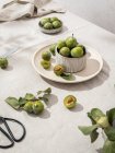 Still life composition of green fresh plums arranged with tableware on table covered with tablecloth — Stock Photo