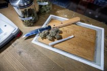Handmade paper cigarette on knife against dried hemp floral buds on chopping board in room — Stock Photo