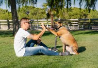 Side view of tattooed male in sunglasses with Malinois giving high five while resting on meadow and looking at each other — Stock Photo