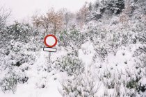 Пустой дорожный знак на столбе среди лиственных деревьев и растений, покрытых снегом в зимнем лесу — стоковое фото