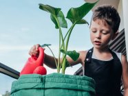 Sincere child in gardening apron with watering pot and blooming plant while looking away against Alocasia in balcony — Stock Photo